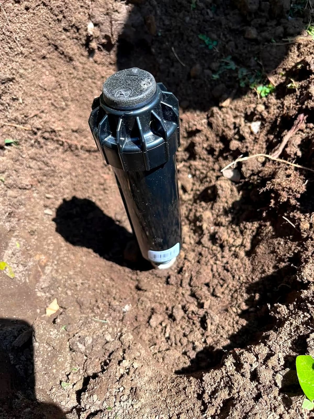 New pop-up sprinkler head set in fresh soil