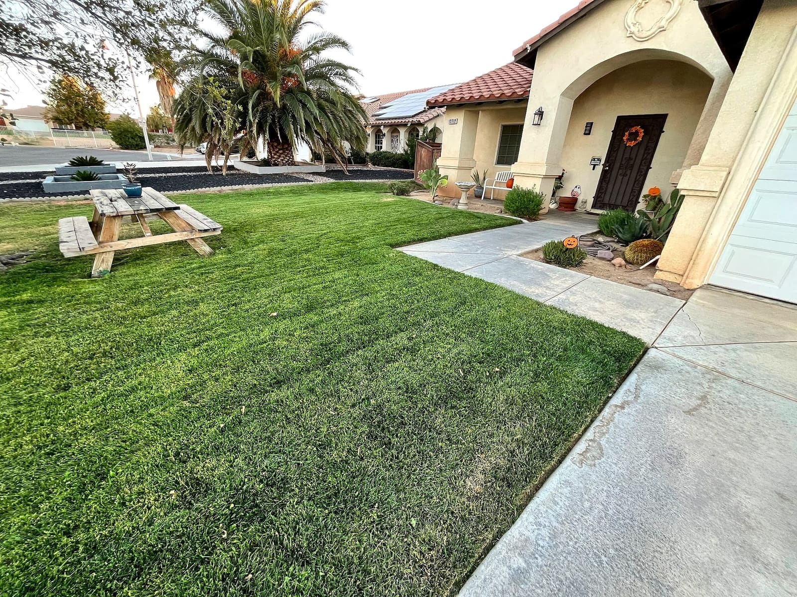 Finished front lawn in front of a stucco house with palm trees