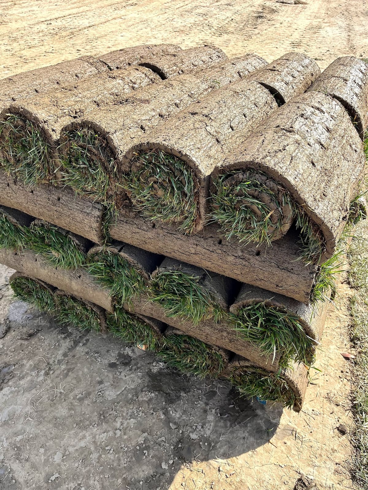 Close-up of stacked sod rolls on site