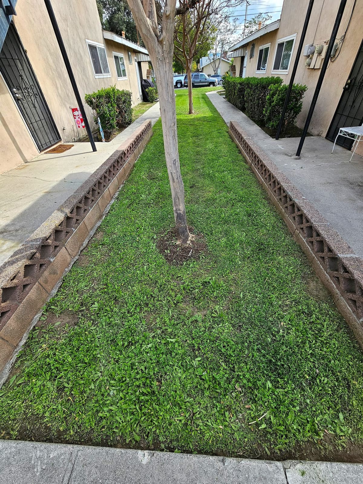 Green lawn strip between two apartment buildings